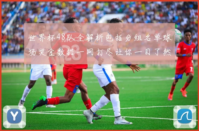 世界杯48队全解析包括分组名单球场奖金数据一网打尽让你一目了然
